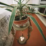 Guest Harry Potter Flat With Parking דירה פורטו