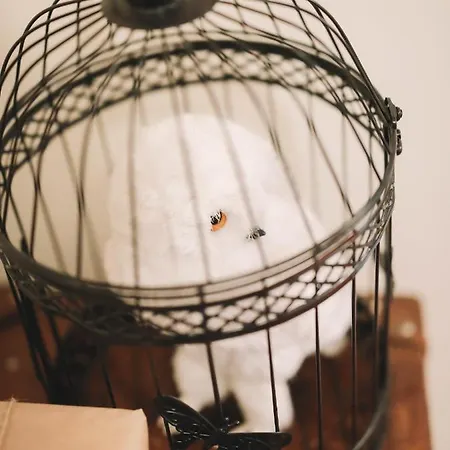 Guest Harry Potter Flat With Parking