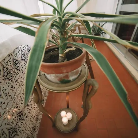 Guest Harry Potter Flat With Parking Appartement Porto