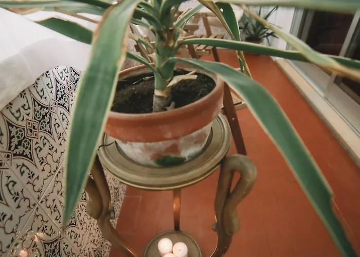 Guest Harry Potter Flat With Parking * Oporto