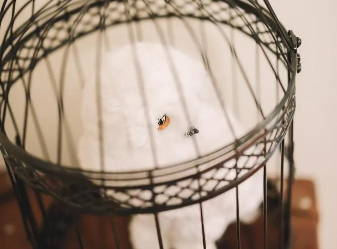 Guest Harry Potter Flat With Parking