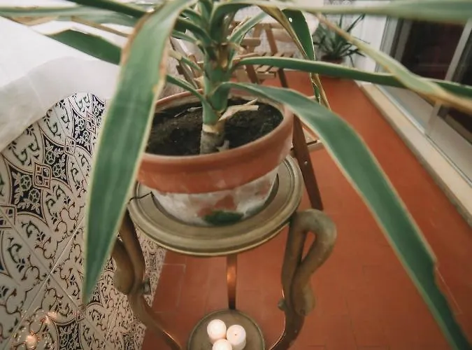 Guest Harry Potter Flat With Parking Apartment Porto