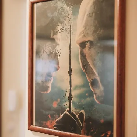 Guest Harry Potter Flat With Parking Appartement Oporto